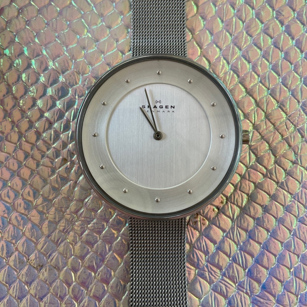 Skagen Silver Watch